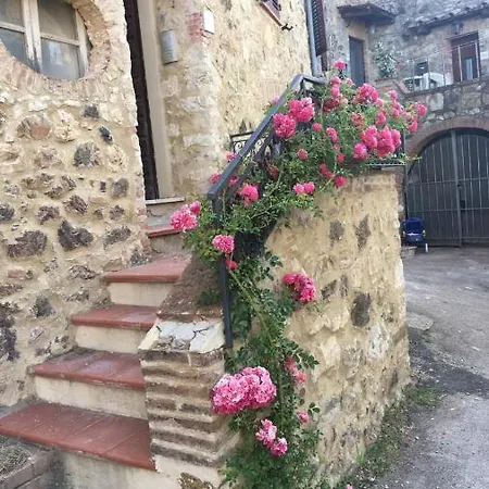 Rosa Di Maggio