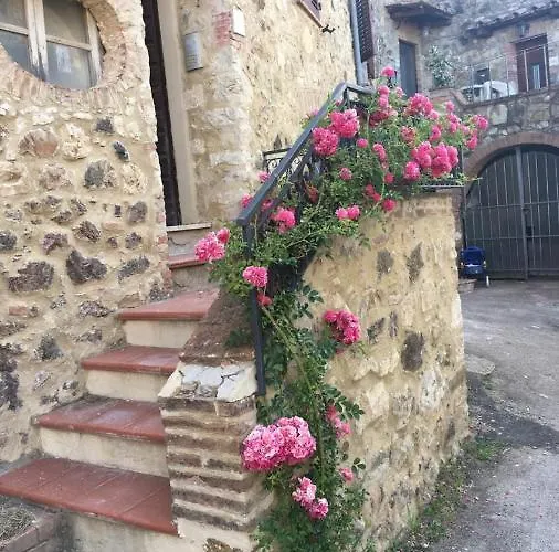 Rosa Di Maggio